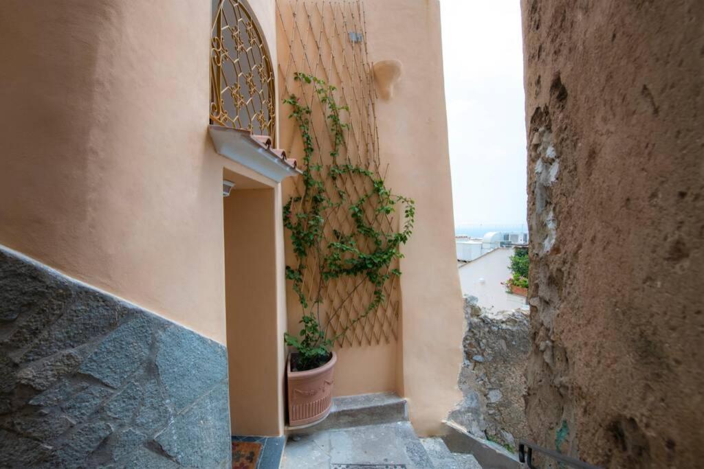 Villa Il Giardino Dei Limoni à Positano Extérieur photo